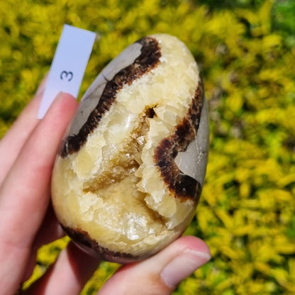 Yellow Septarian Dragon Egg - Madagascar - Smaller Sizes