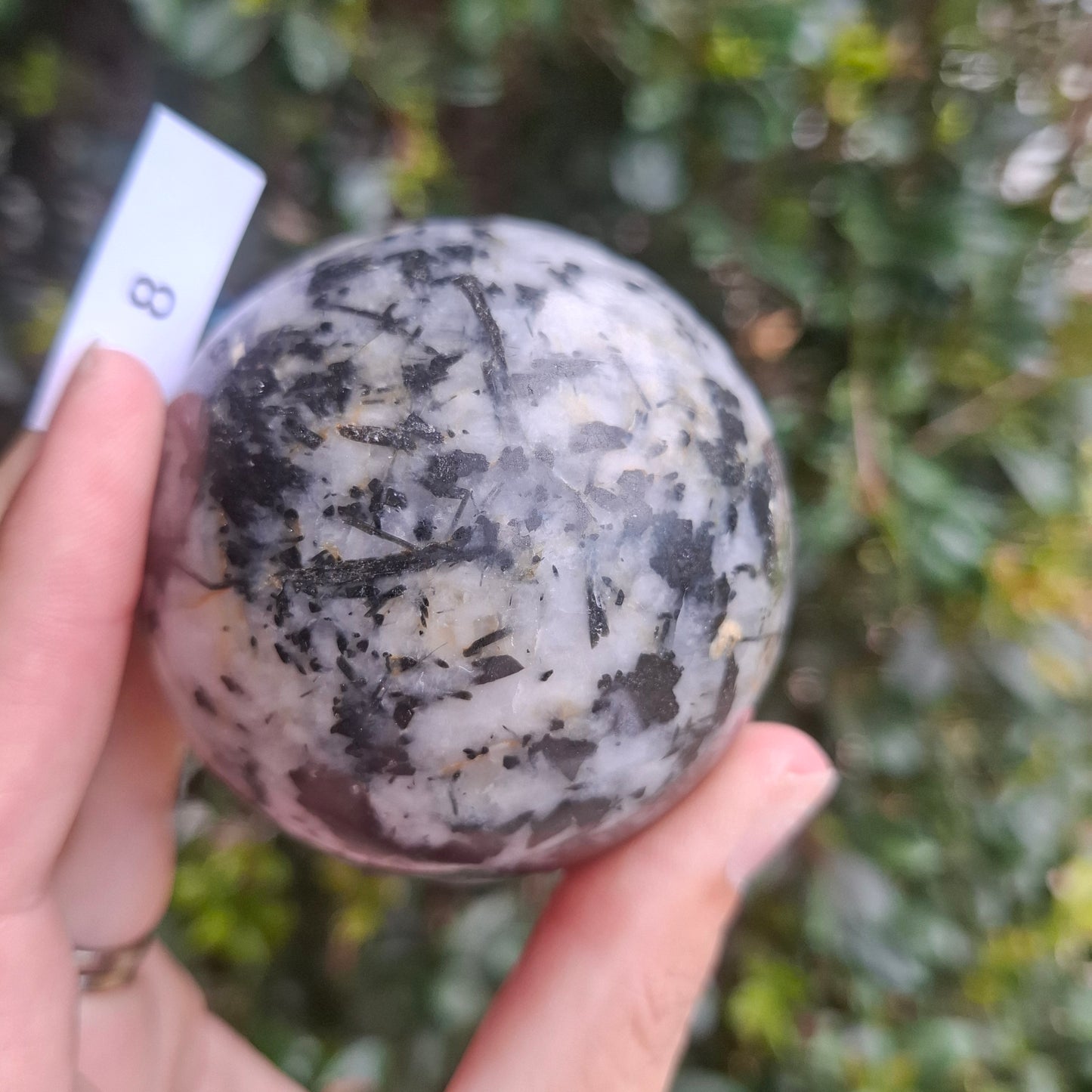 Tourmaline in Quartz Sphere - Madagascar