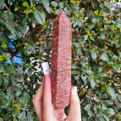 Tiger Granite Towers - India