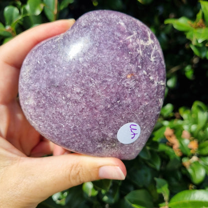 Lepidolite Heart - Madagascar - 477g