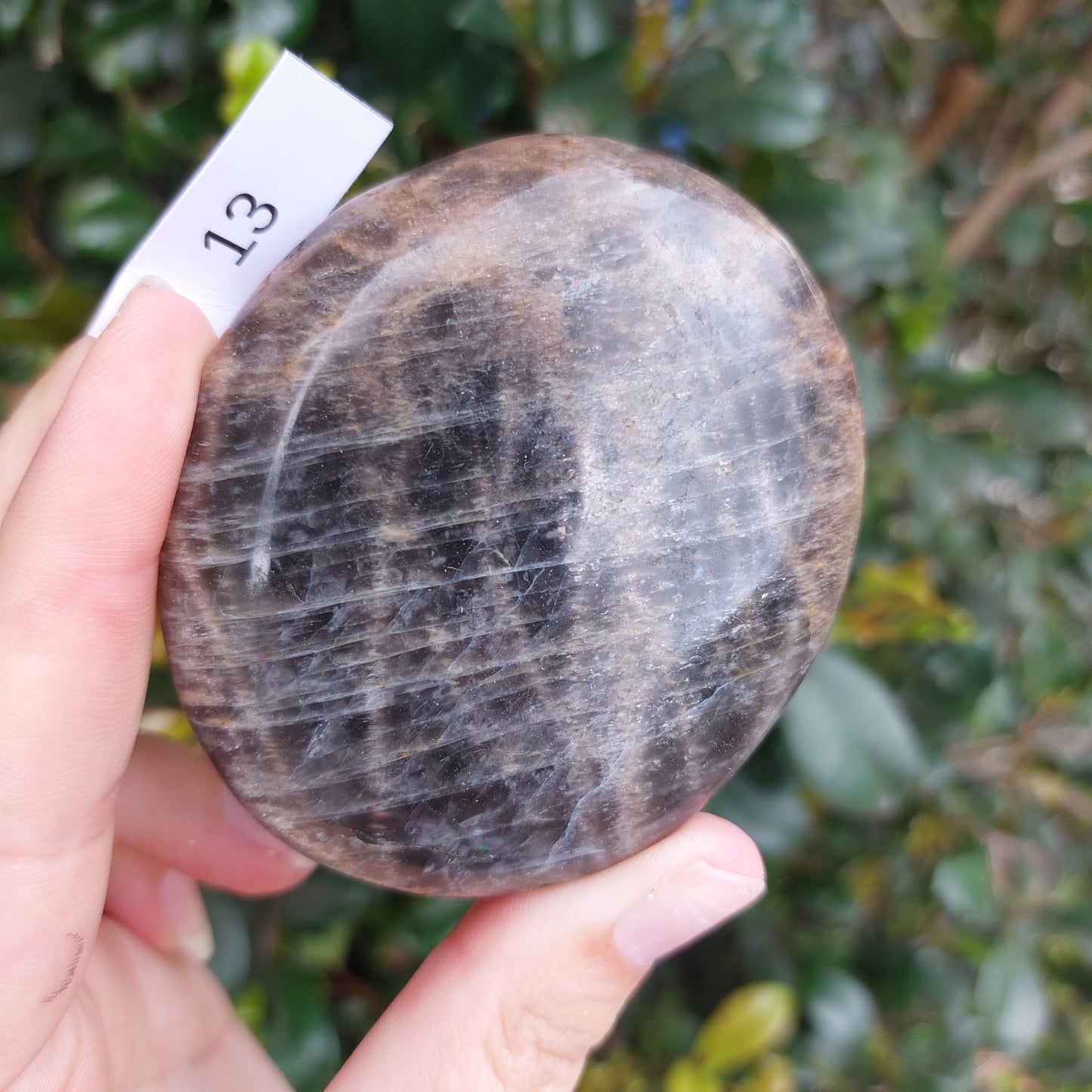 Black Moonstone Palm Stone - Madagascar - Nice flash!