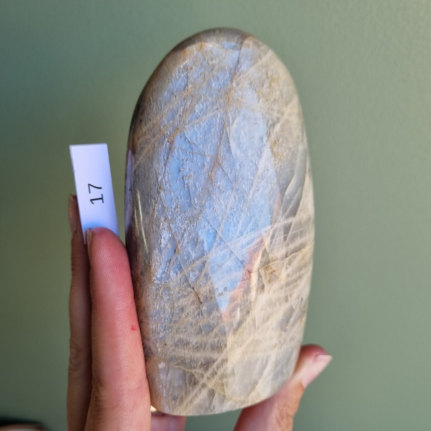 Silver Moonstone Freeform