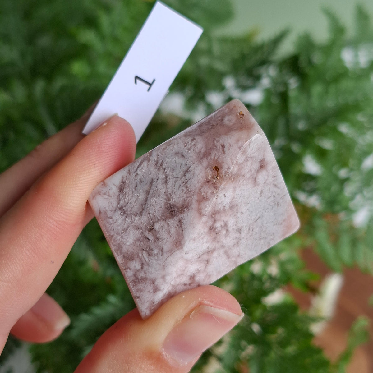 Flower Agate Freeforms