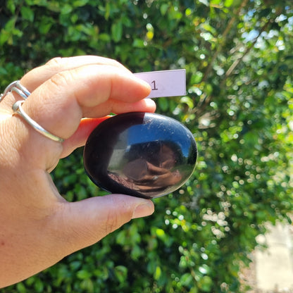 Dravite Tourmaline Palmstone - Australia