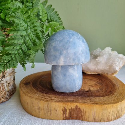 Blue Calcite Mushroom