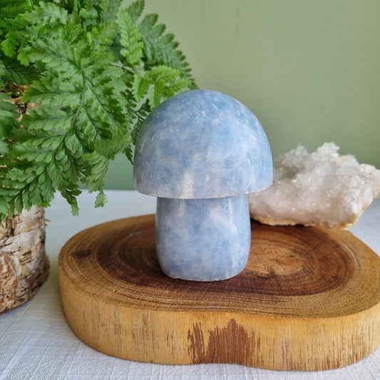 Blue Calcite Mushroom