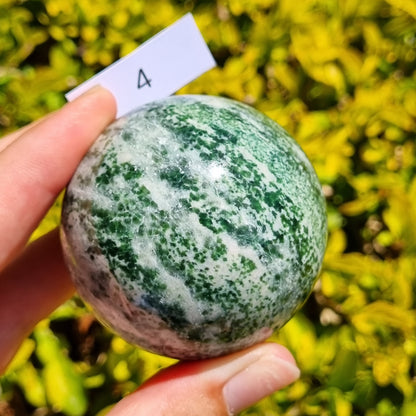 Tree Agate Sphere