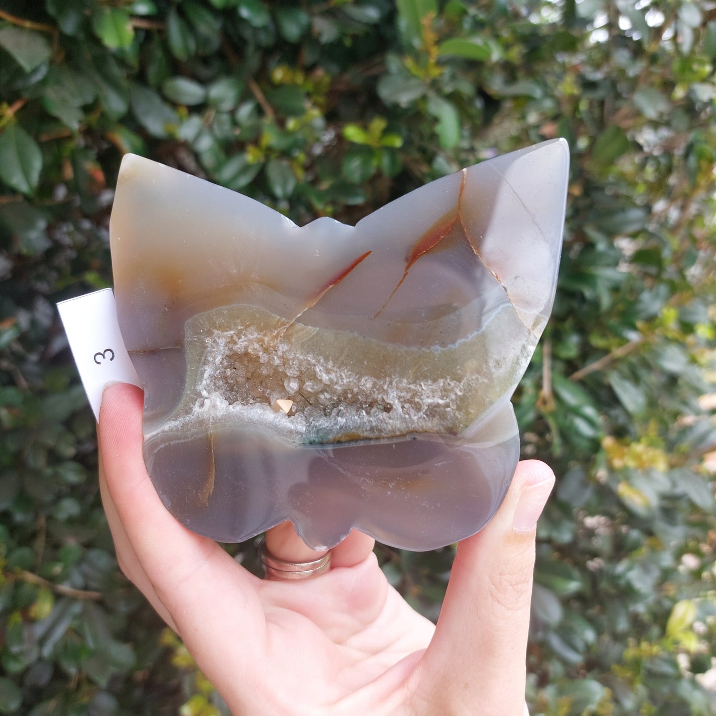 Agate Slices - Random shapes - B+ Grade