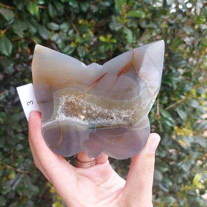 Agate Slices - Random shapes - B+ Grade