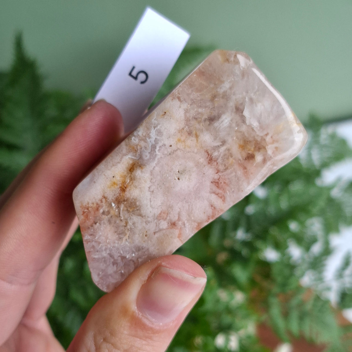 Flower Agate Freeforms
