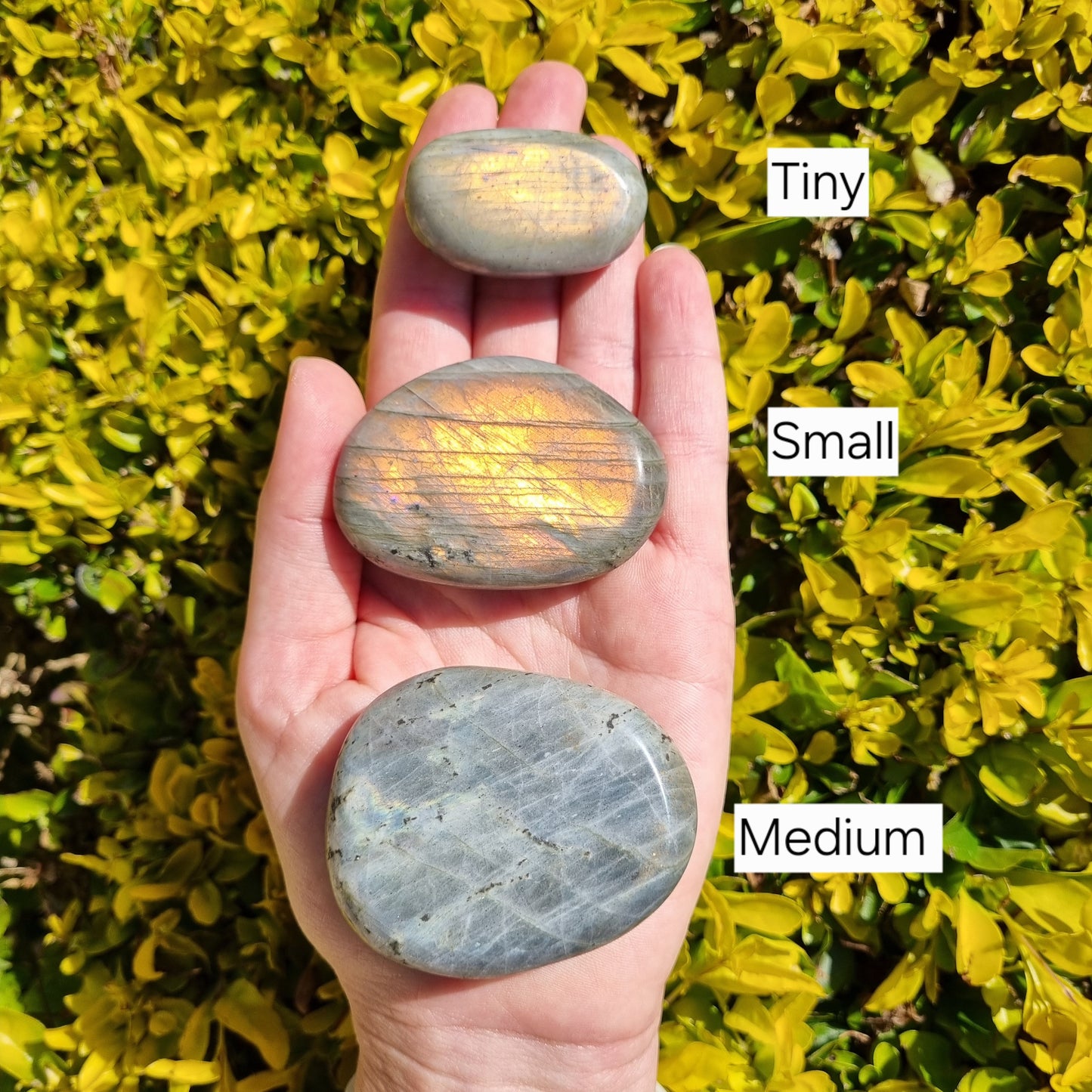 Labradorite Palmstone