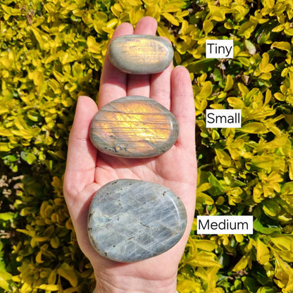 Labradorite Palmstone