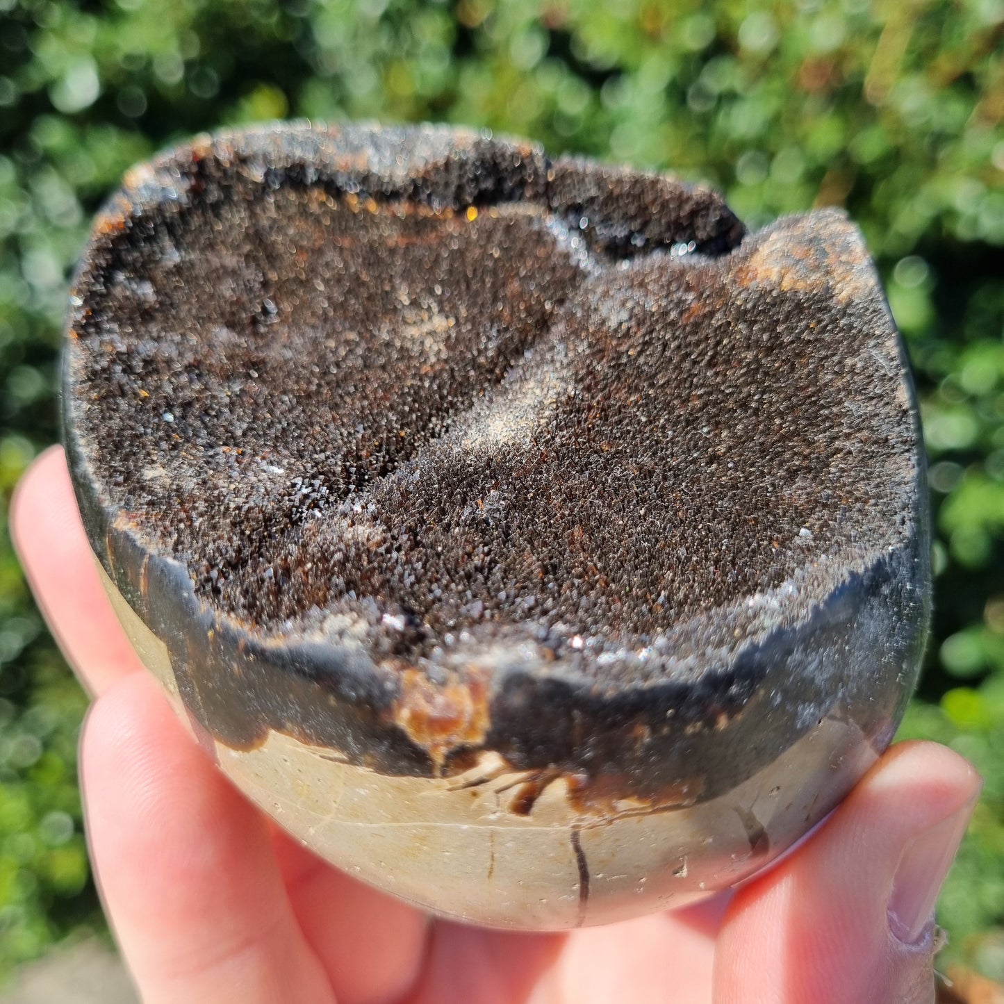 Septarian Dragon Egg - Madagascar - Small Sizes