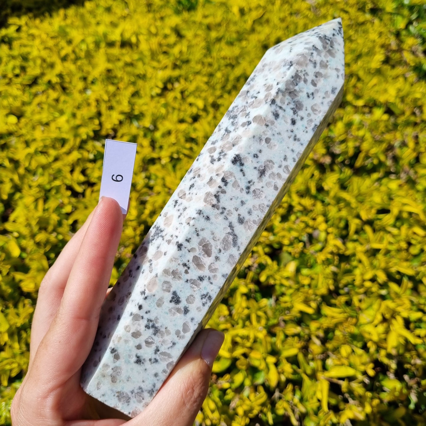 Kiwi Jasper Large Towers