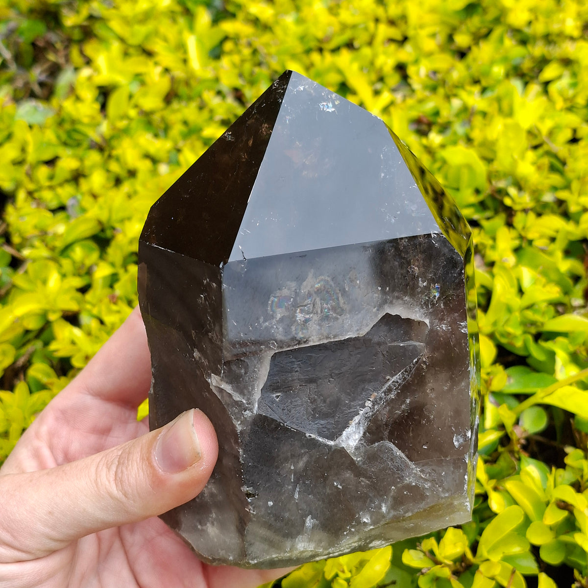 Smokey Quartz Natural & Polished Point - 1.12kgs