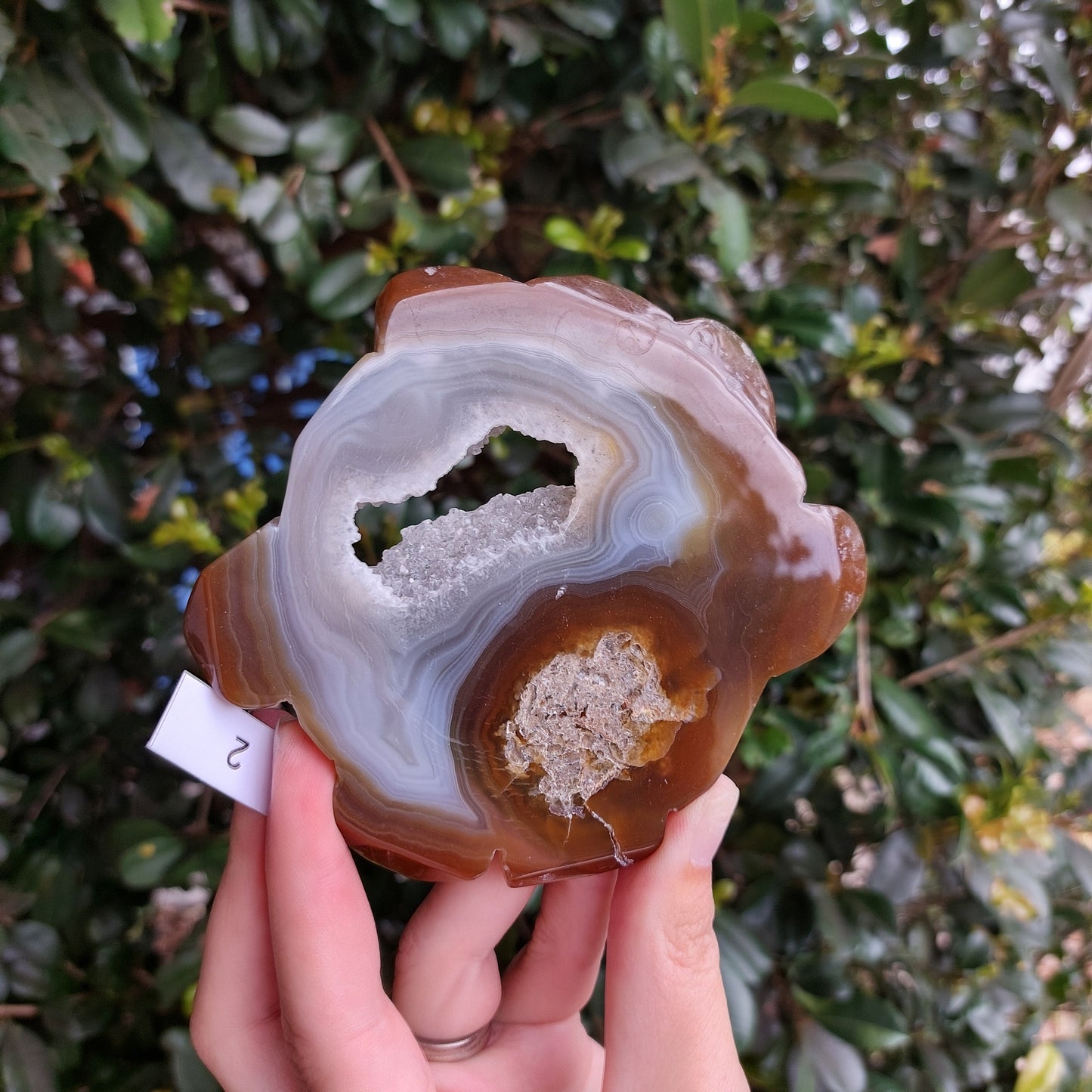 Agate Slices - Random shapes - B Grade