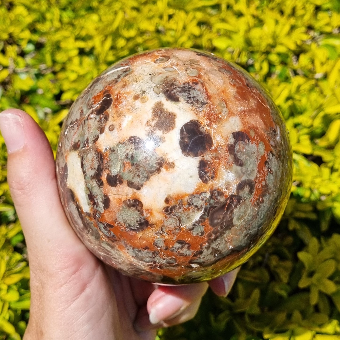 Red Jasper Conglomerate Sphere - China - 1.001kg