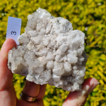 Quartz Cluster - Australia