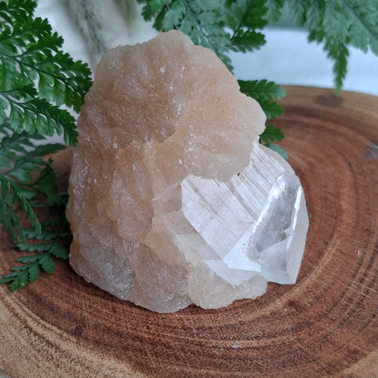 Zeolite Cluster - 206 grams