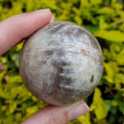 Black Moonstone Sphere - 201 grams