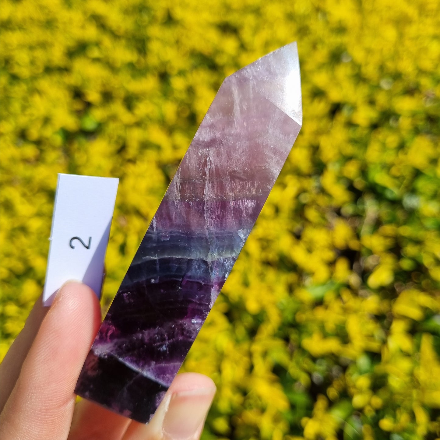 Fluorite Obelisk - India