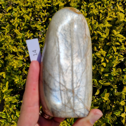 Silver Moonstone Freeform