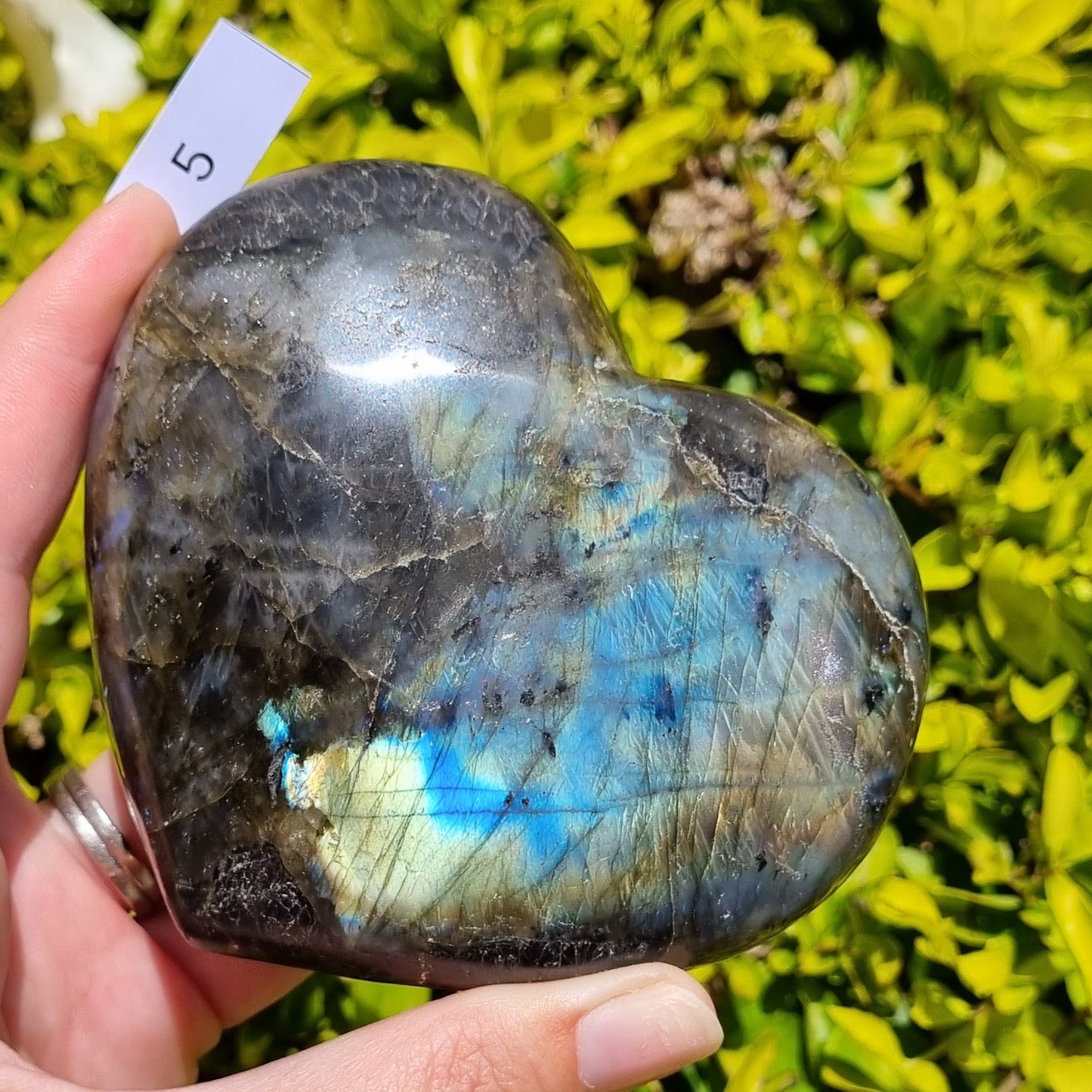 Labradorite Heart - Madagascar - Smaller Sizes