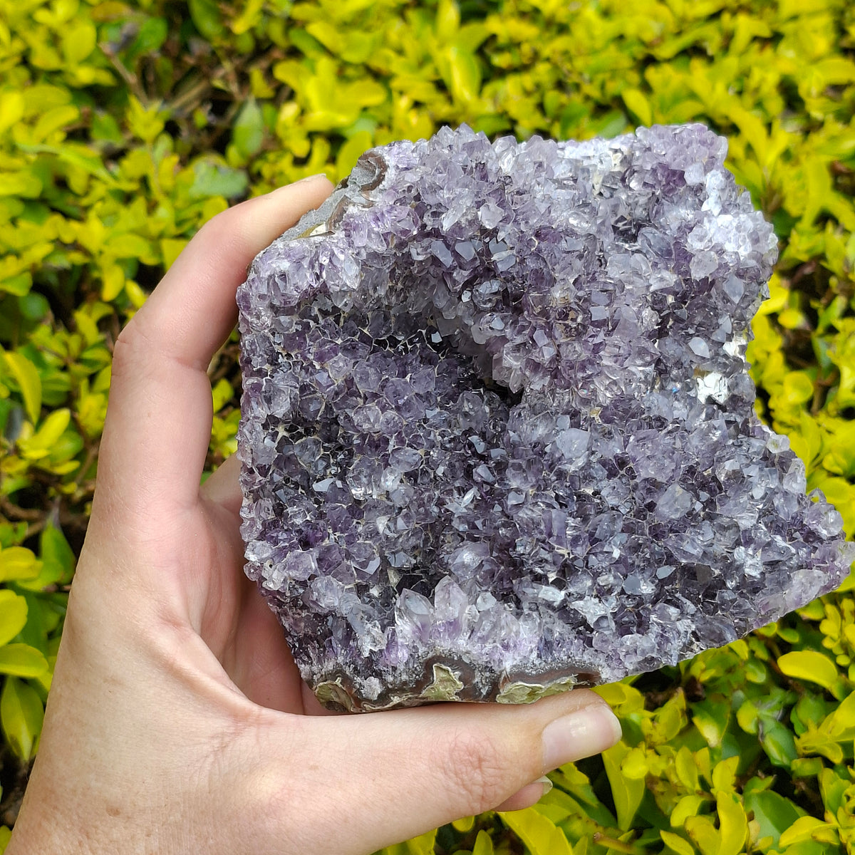 Amethyst Standing Cluster - Brazil - 1.05kgs