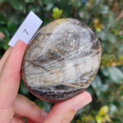 Black Moonstone Palm Stone - Madagascar - Nice flash!