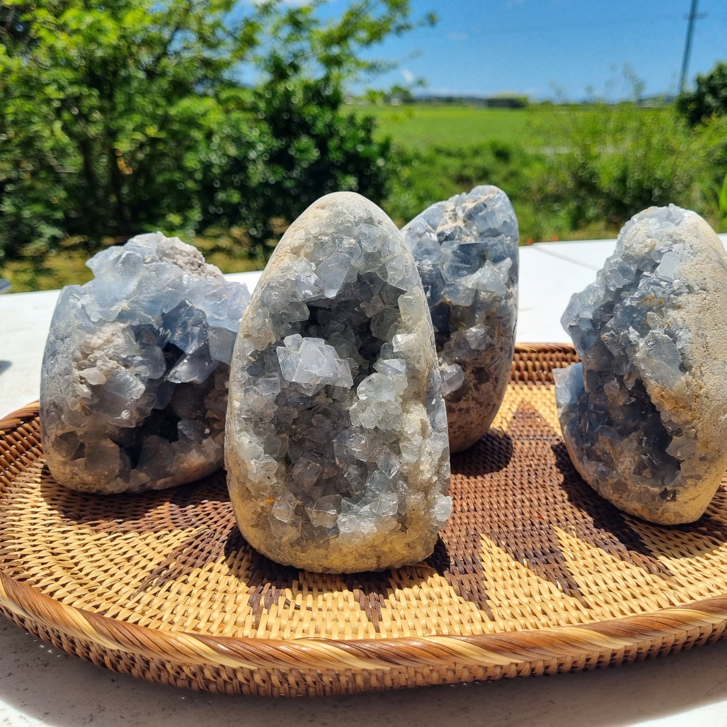 Celestite Standing Freeform Cluster - Madagascar