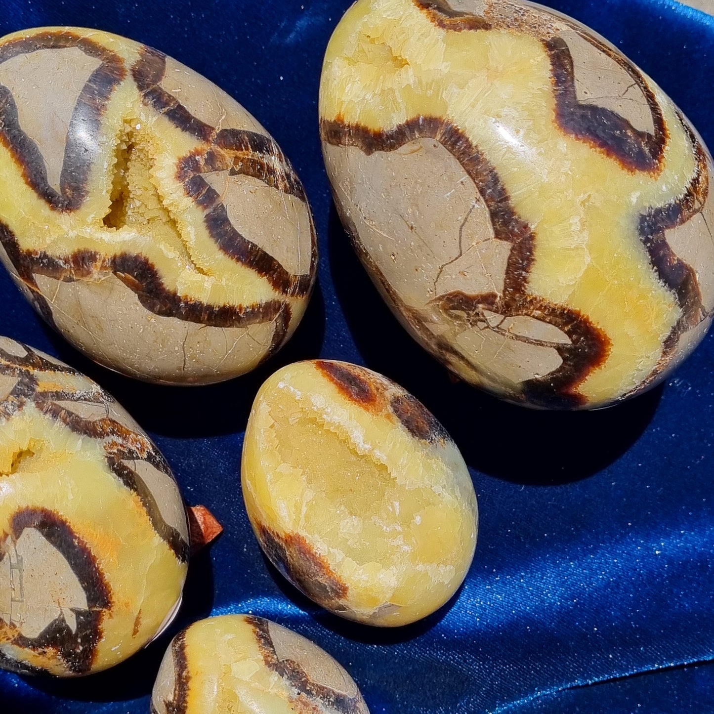 Yellow Septarian Dragon Egg - Madagascar - Smaller Sizes