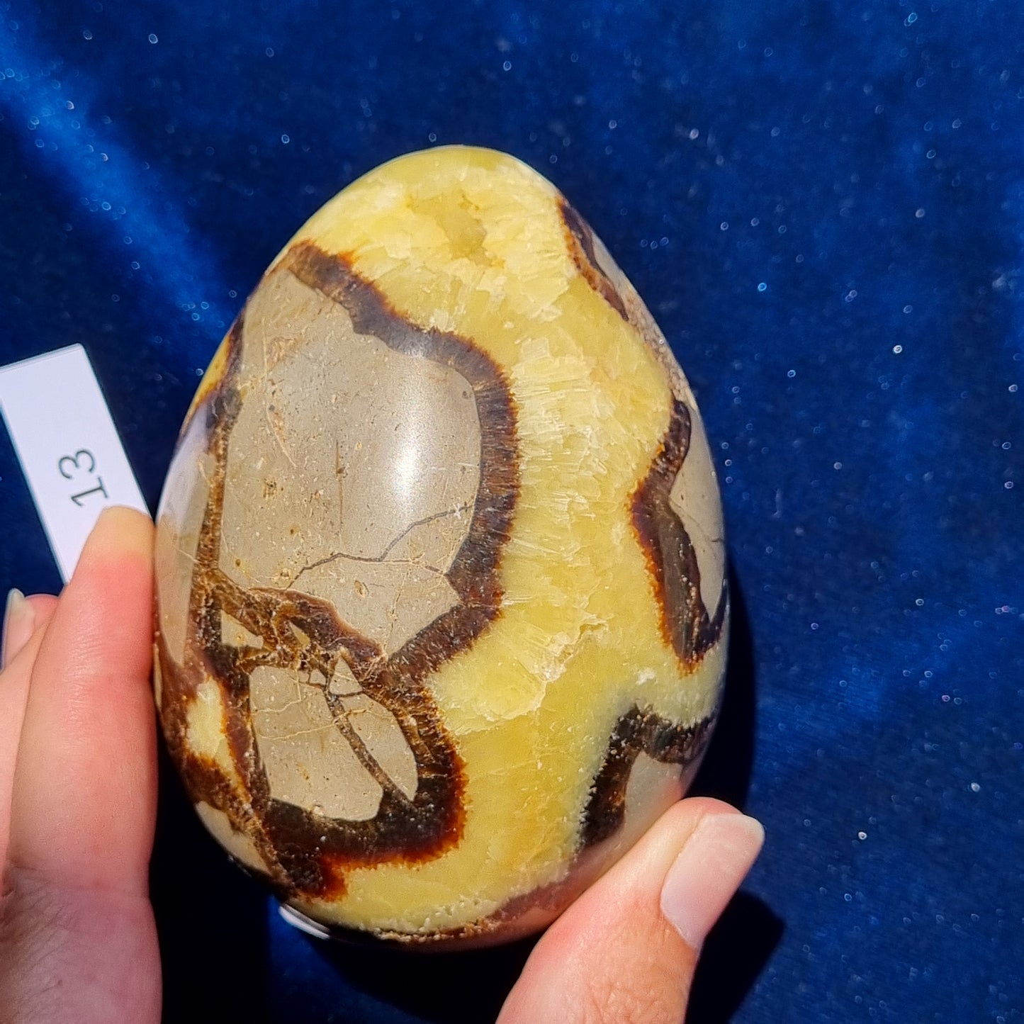 Yellow Septarian Dragon Egg - Madagascar - Smaller Sizes