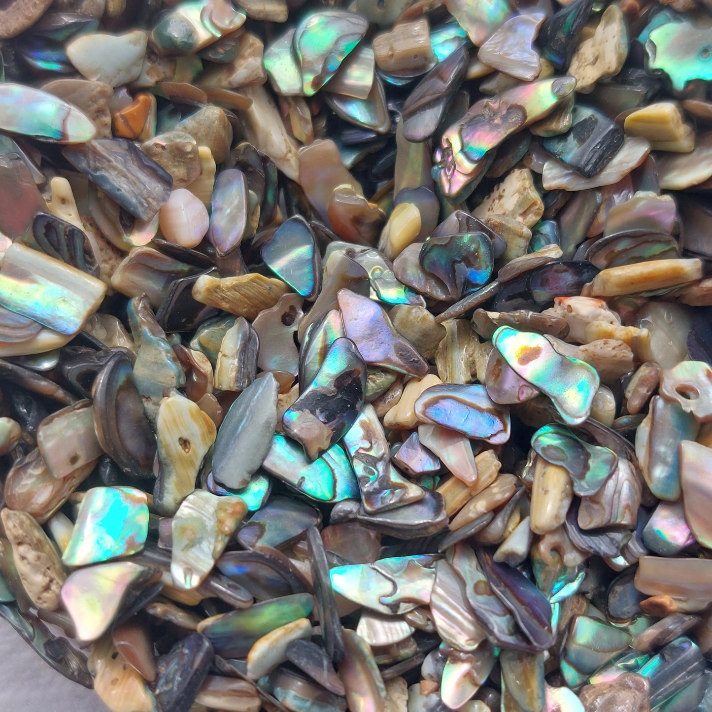 Paua Shell Mini Chips