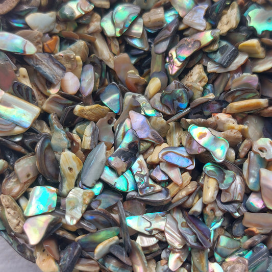 Paua Shell Mini Chips
