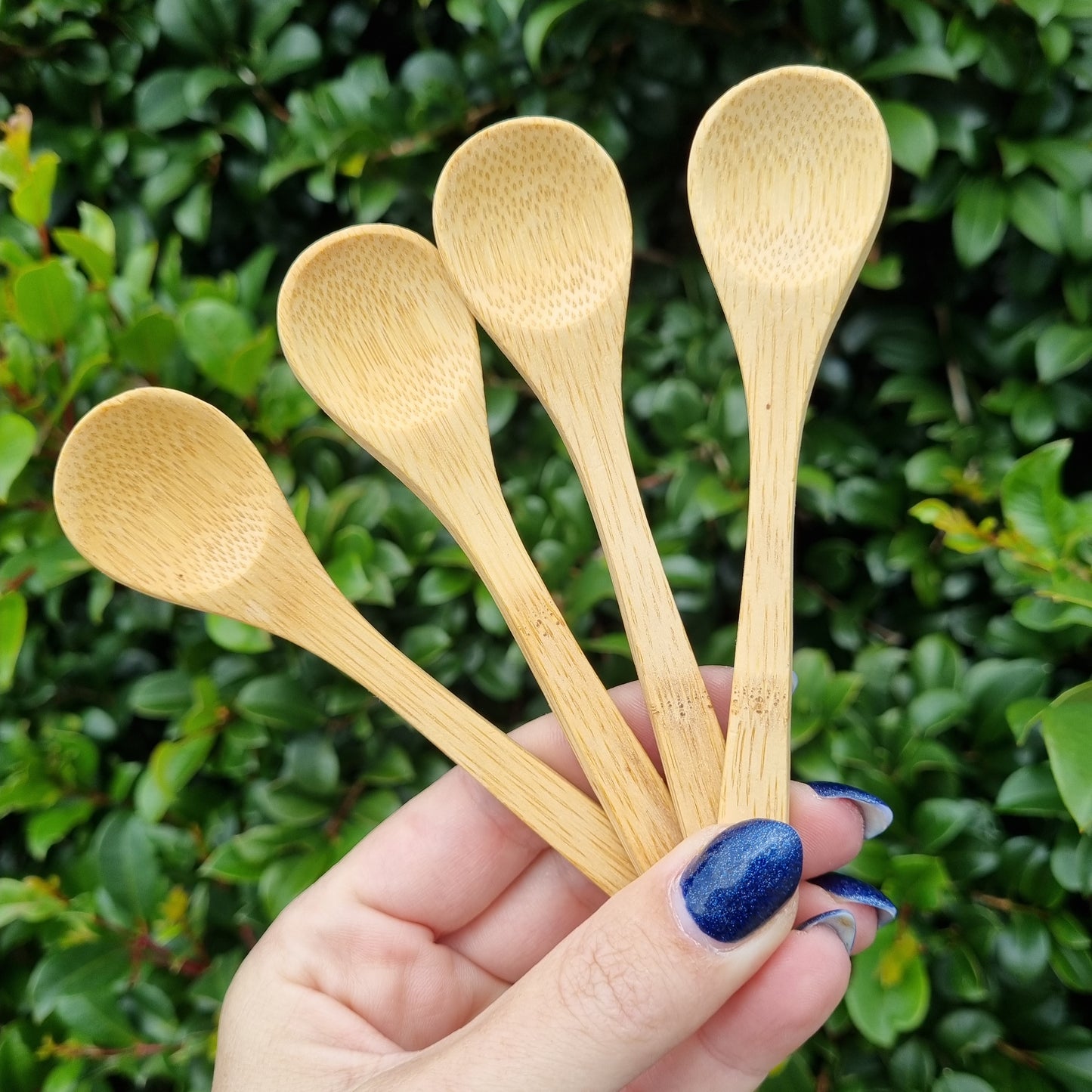 Wooden Spoon 10cm - 10 Piece - Bulk Lot!