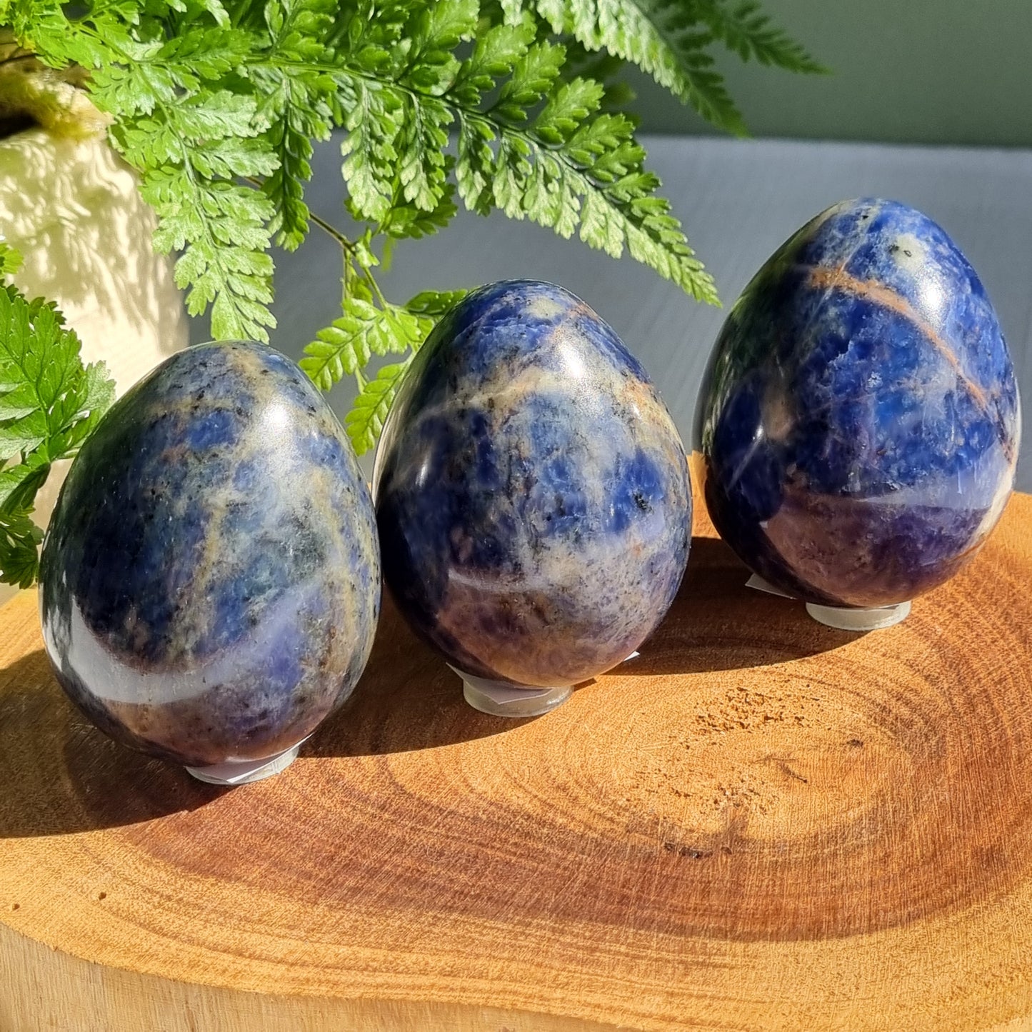 Sodalite Egg - India