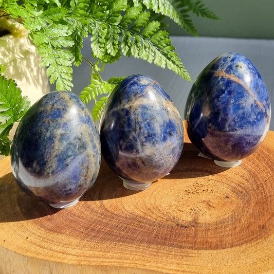 Sodalite Egg - India