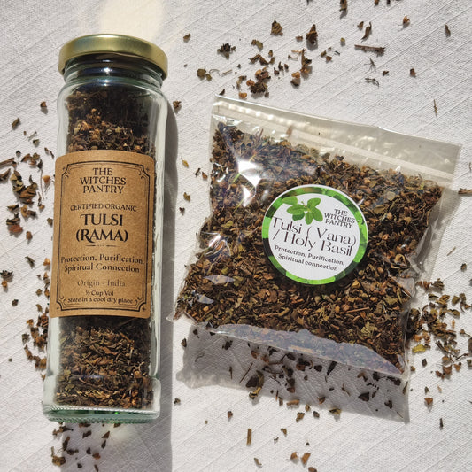 Tulsi (Rama) / Sacred Basil - Certified Organic