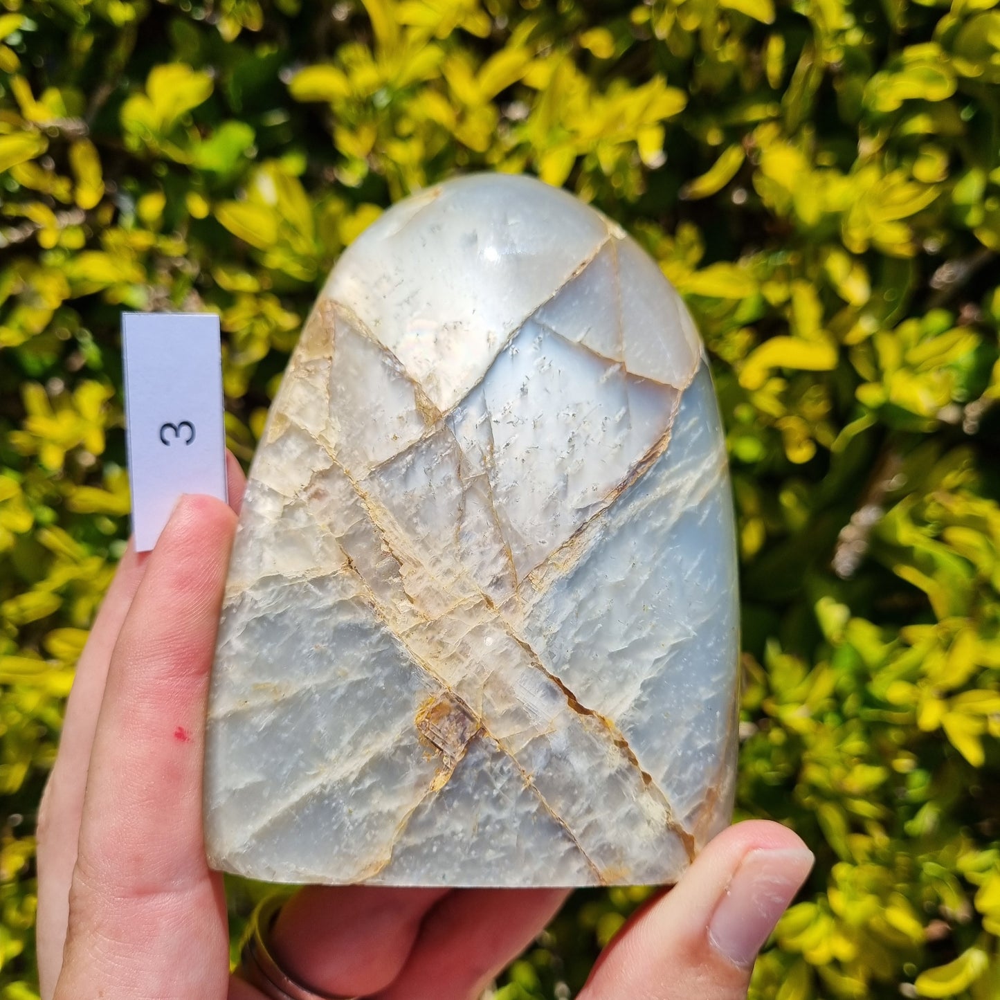 Silver Moonstone Freeform