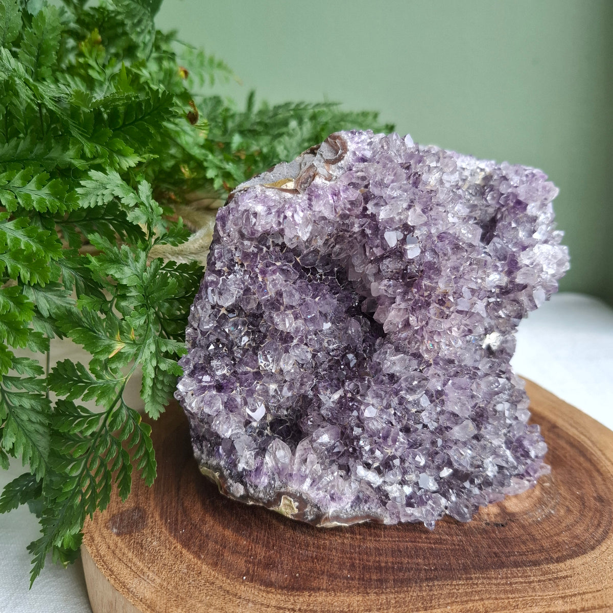 Amethyst Standing Cluster - Brazil - 1.05kgs