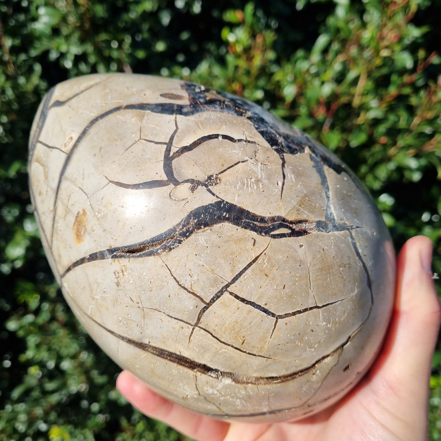 Septarian Dragon Egg - Madagascar - 4.232kg