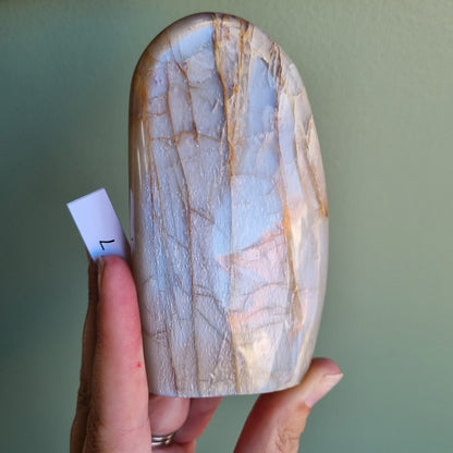 Silver Moonstone Freeform