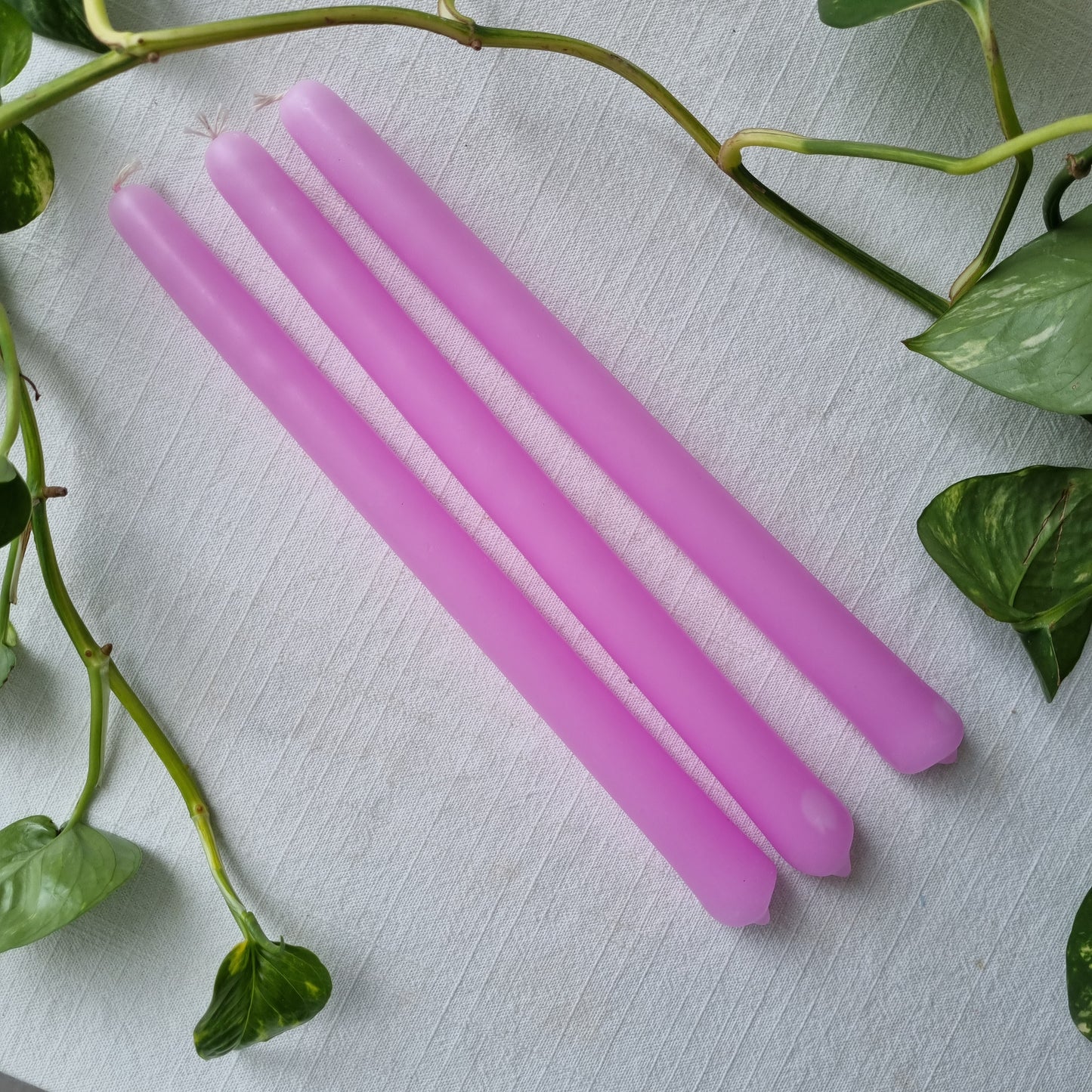 Large Taper candles - Single Colour - 3 Pack - Sparrow and Fox