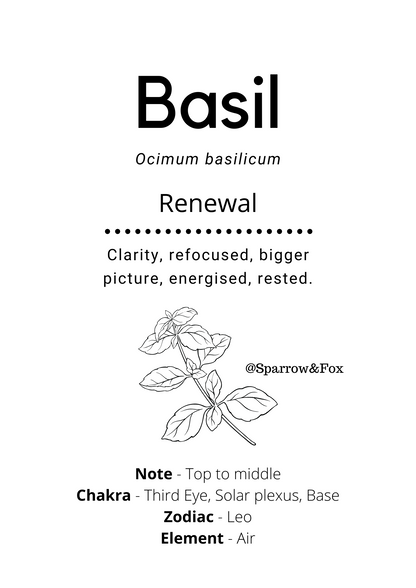 Basil Essential Oil - Sparrow and Fox