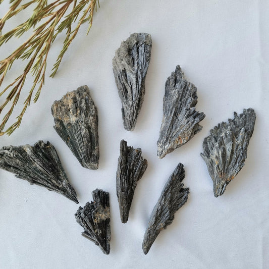 Black Kyanite Cluster (Witches Broom) - Sparrow and Fox