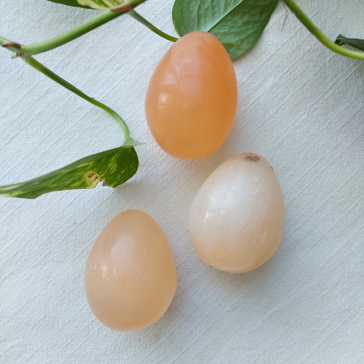 Orange Selenite Egg - Morocco - 60-70mm - Sparrow and Fox