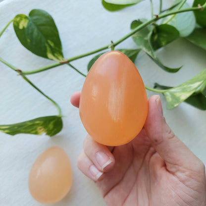 Orange Selenite Egg - Morocco - 60-70mm - Sparrow and Fox