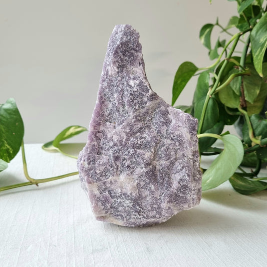 Lepidolite Standing Raw Piece - 1.55kg - Sparrow and Fox
