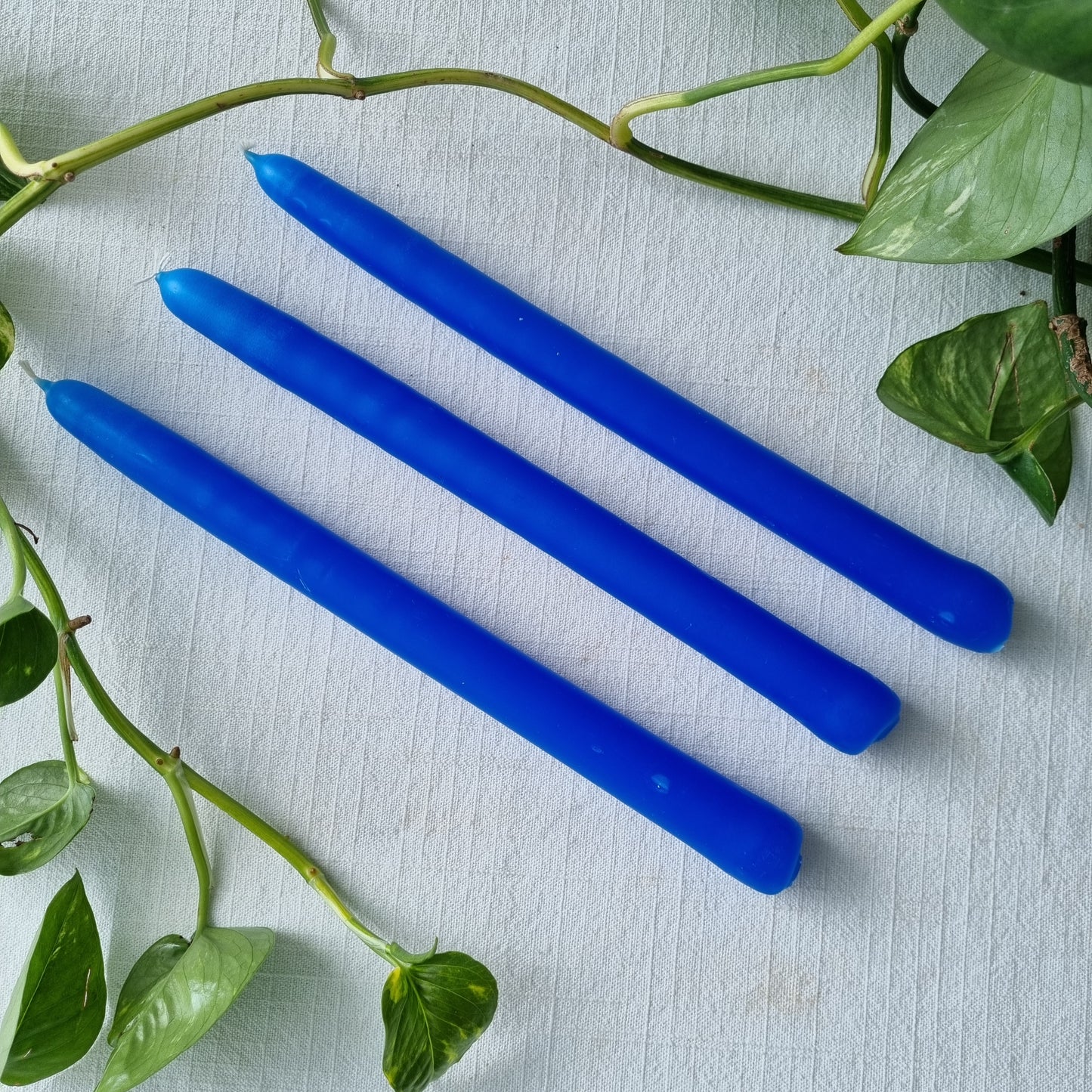 Large Taper candles - Single Colour - 3 Pack - Sparrow and Fox