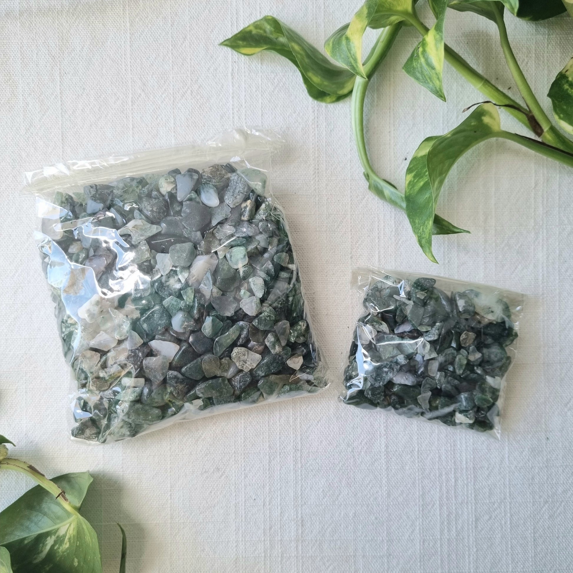 Moss Agate Chips - Sparrow and Fox
